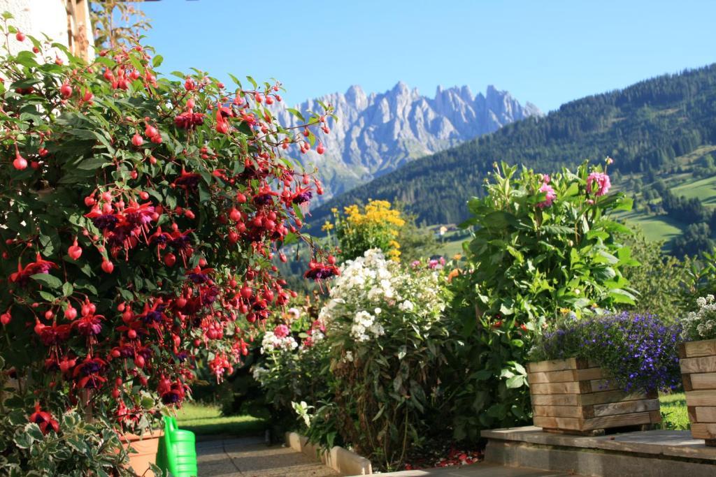 Apartments Haus Huber Mühlbach am Hochkönig Exteriér fotografie