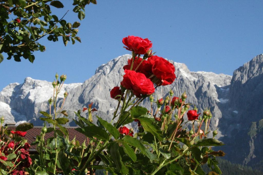 Apartments Haus Huber Mühlbach am Hochkönig Pokoj fotografie